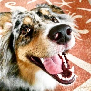 Meet your Posher, Lucy-blair